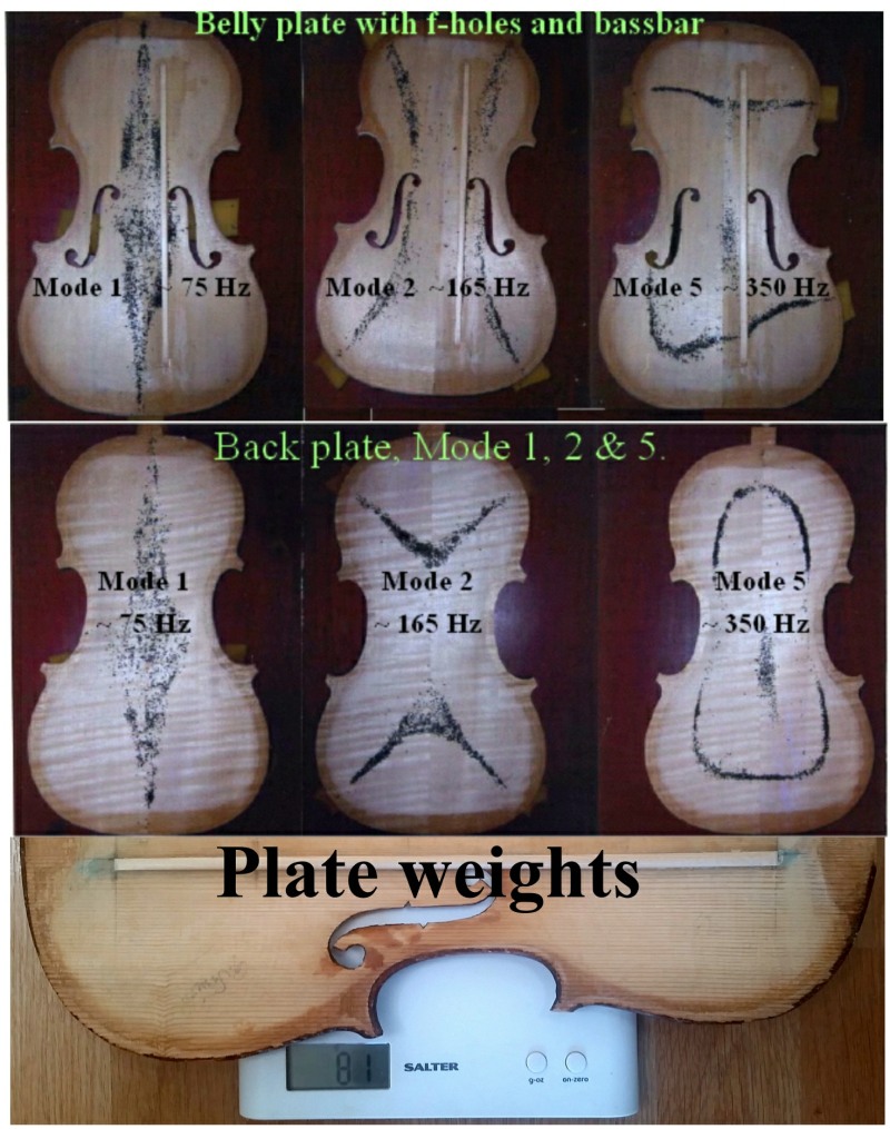 Violin plate Modes and Weights 1.1 smll